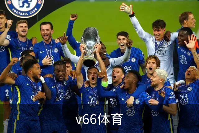 v66体育公司简介图片